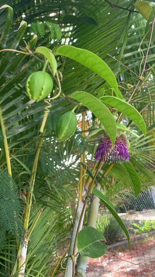 Ks Villa La Coulee 4 Etoiles Saint-Francois  Ngoại thất bức ảnh
